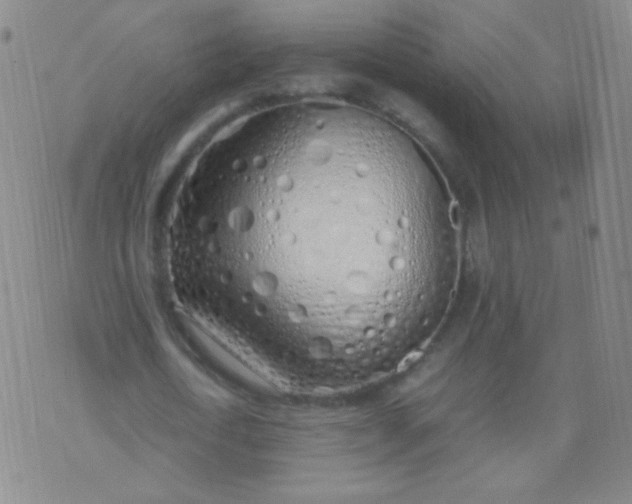 X0000070430722200606231917