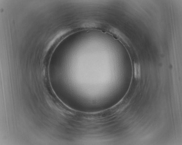 X0000070430723200606231917