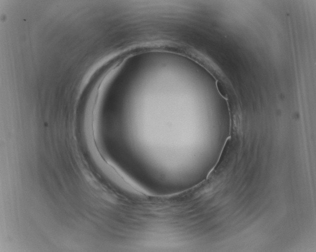 X0000070430724200606231917