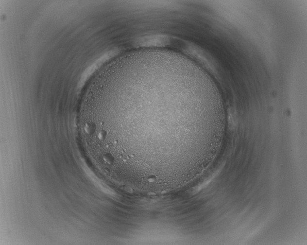 X0000070430725200606231917