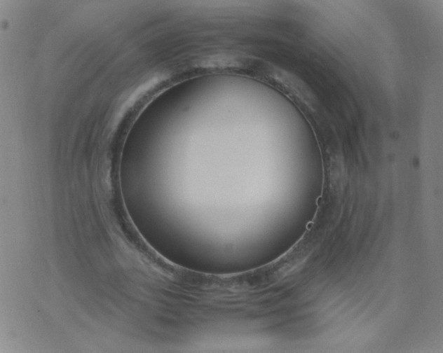 X0000070430727200606231917