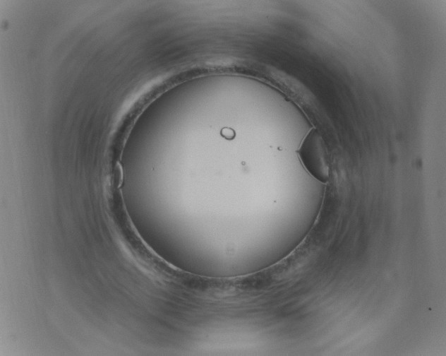 X0000070430728200606231917