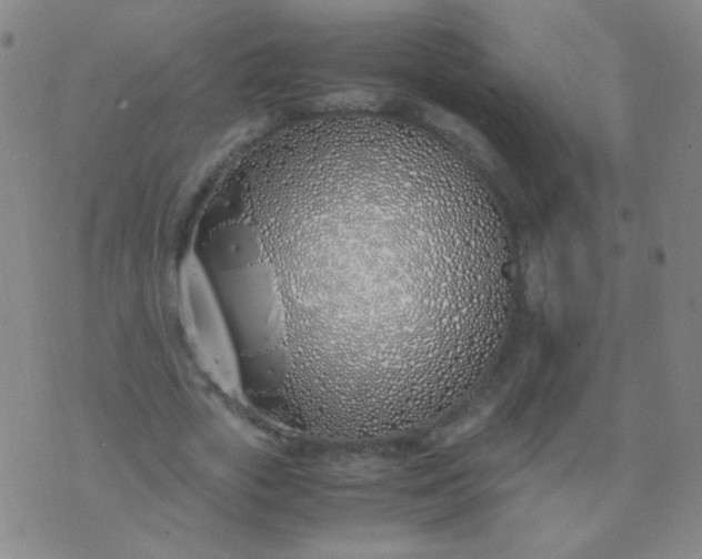 X0000070430729200606231917