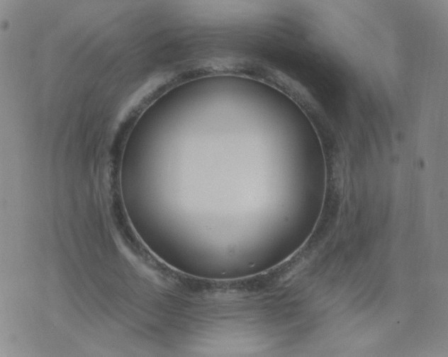 X0000070430730200606231917