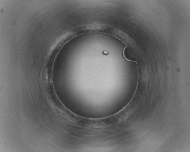 X0000070430731200606231917