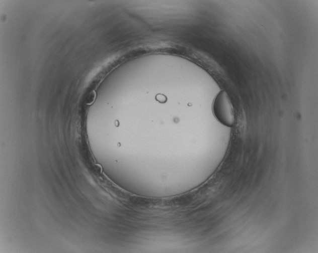 X0000070430732200606231917