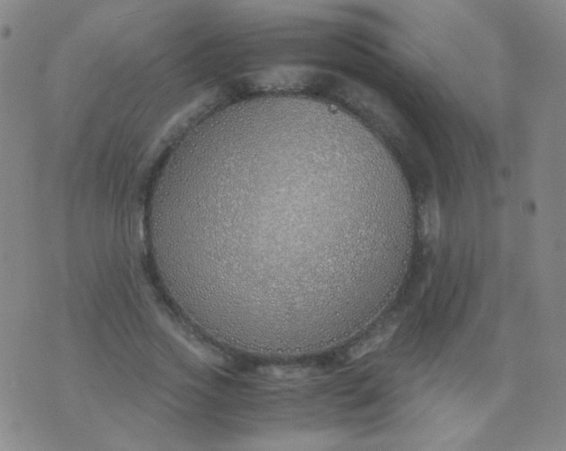 X0000070430733200606231917