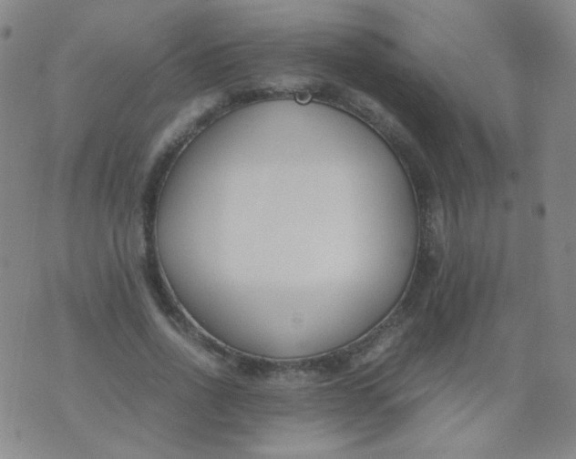 X0000070430734200606231917