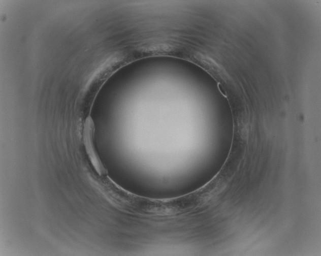 X0000070430735200606231917