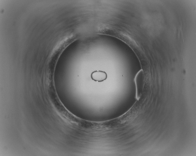 X0000070430736200606231917