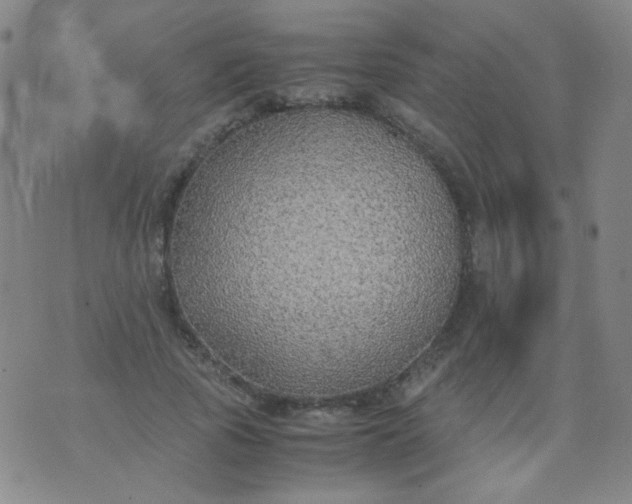 X0000070430737200606231917