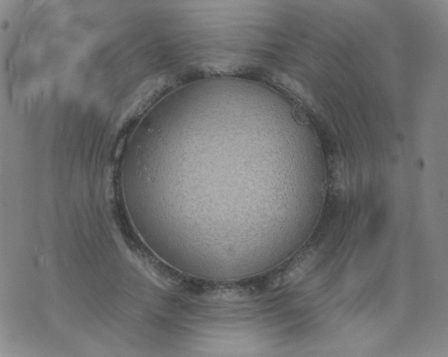 X0000070430738200606231917