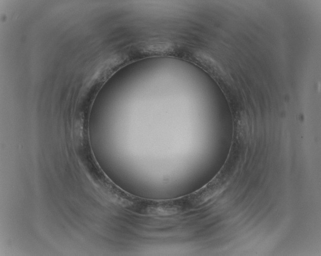 X0000070430739200606231917