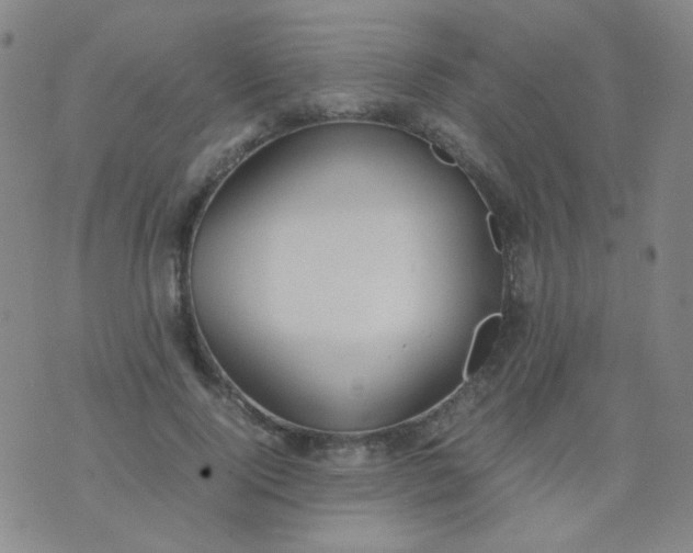 X0000070430740200606231917