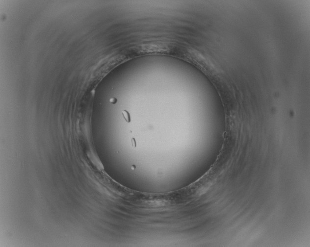 X0000070430741200606231917