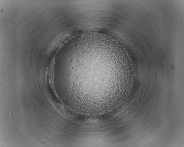 X0000070430742200606231917