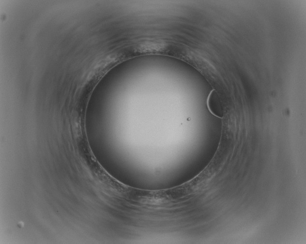 X0000070430743200606231917