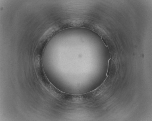 X0000070430744200606231917