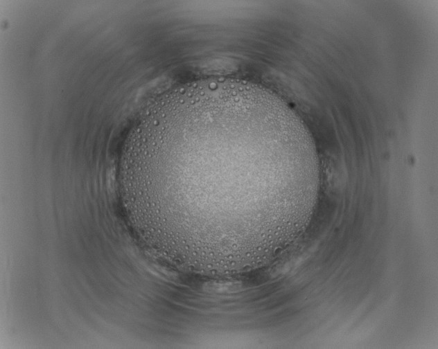 X0000070430745200606231917