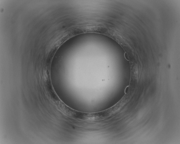 X0000070430746200606231917