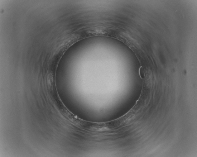 X0000070430747200606231917