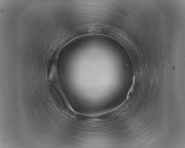 X0000070430748200606231917