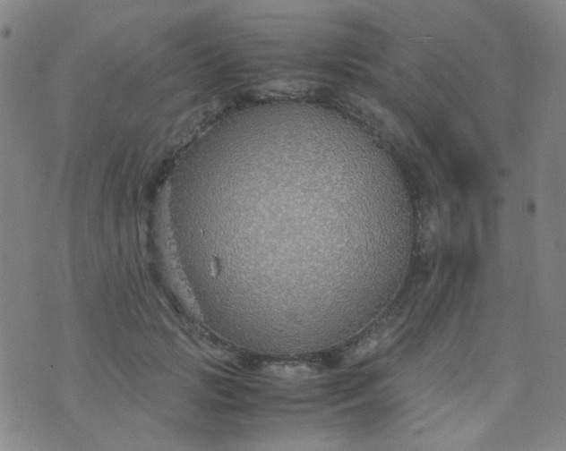 X0000070430749200606231917