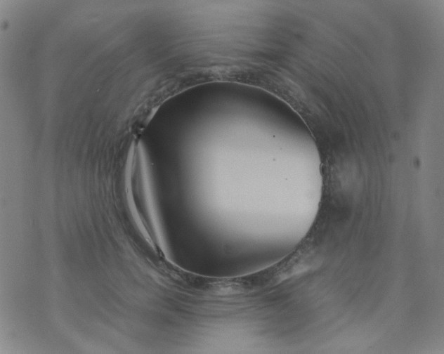 X0000070430750200606231917