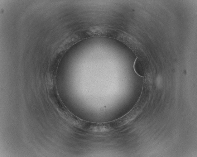 X0000070430751200606231917