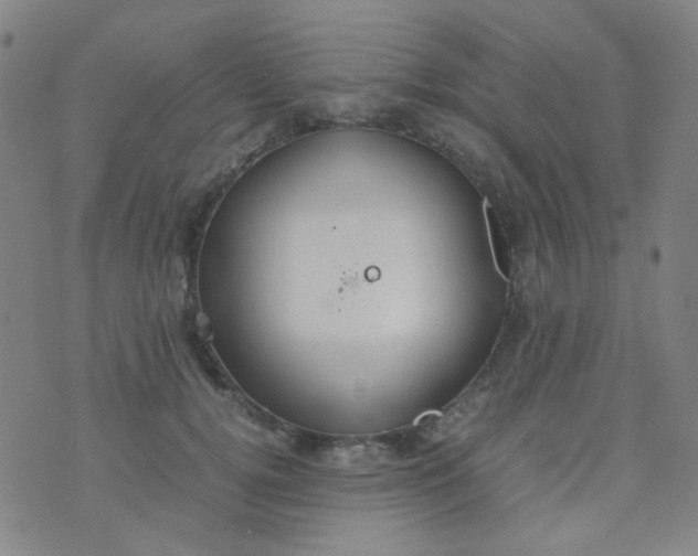 X0000070430752200606231918