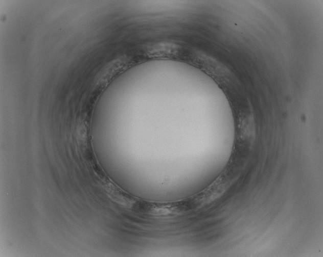 X0000070430753200606231918