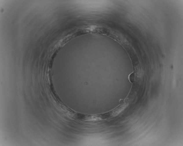 X0000070430754200606231918