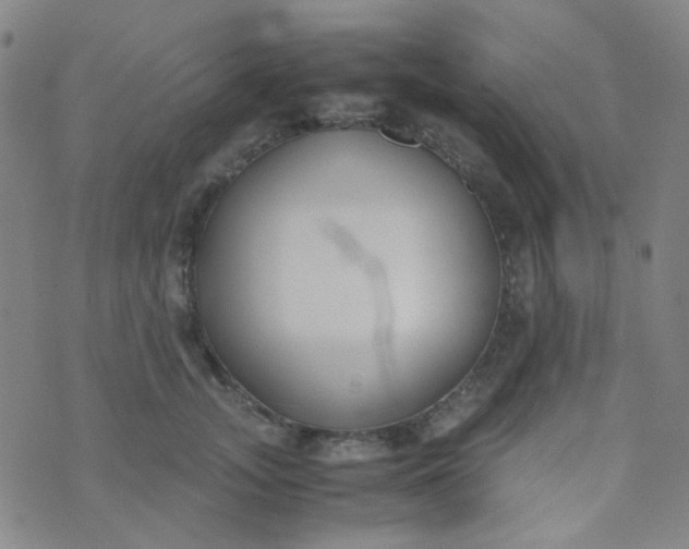 X0000070430755200606231918