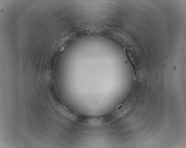 X0000070430756200606231918