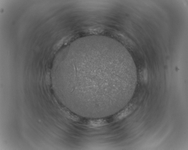 X0000070430757200606231918