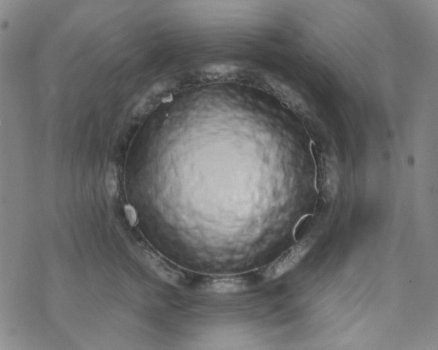 X0000070430758200606231918