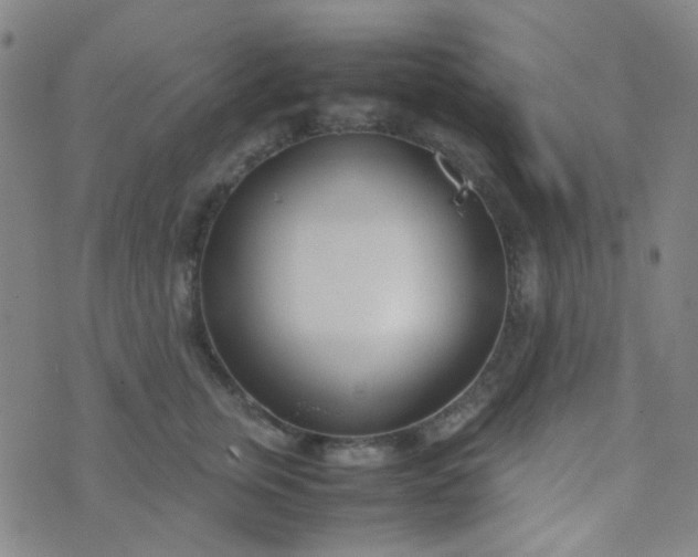 X0000070430759200606231918