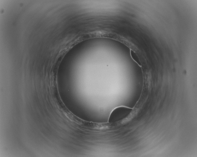 X0000070430760200606231918