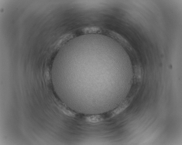 X0000070430761200606231918