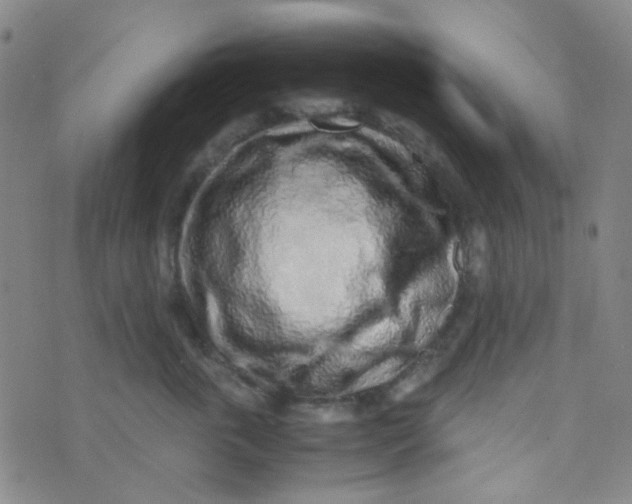 X0000070430763200606231918