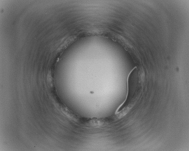 X0000070430764200606231918