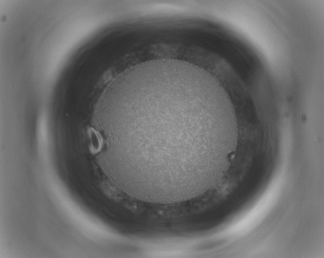 X0000070430765200606231918