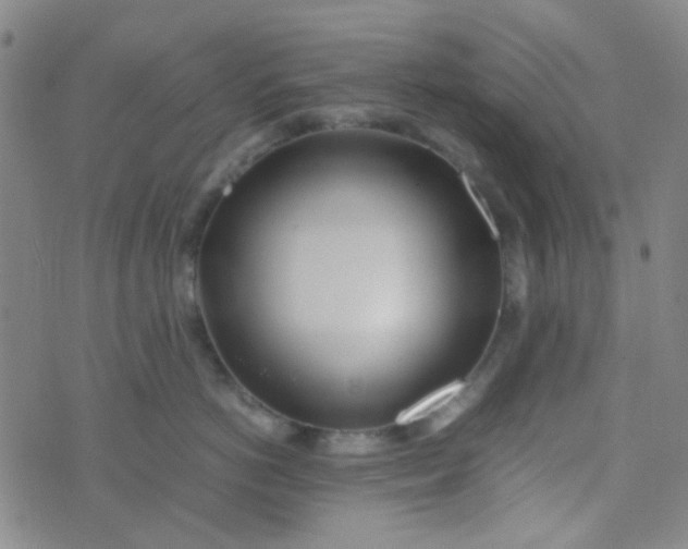 X0000070430766200606231918