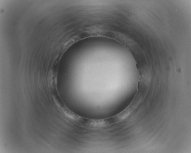 X0000070430767200606231918