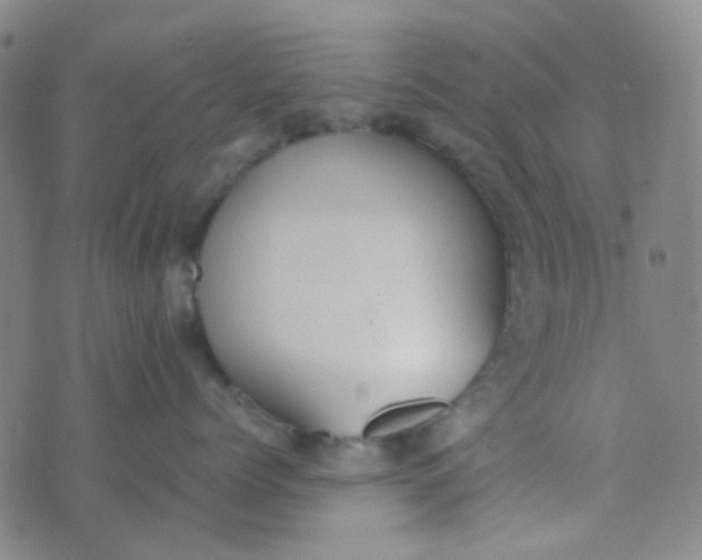 X0000070430768200606231918