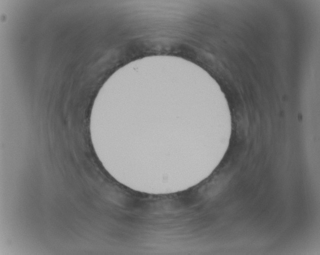 X0000070430769200606231917