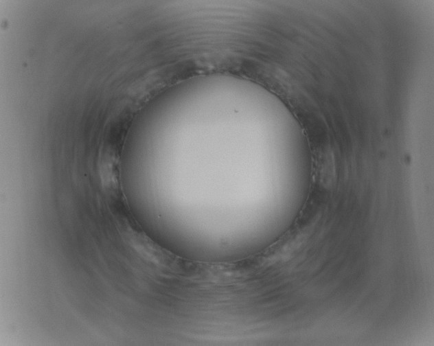 X0000070430770200606231917