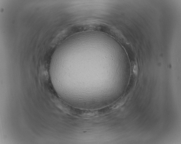 X0000070430771200606231917