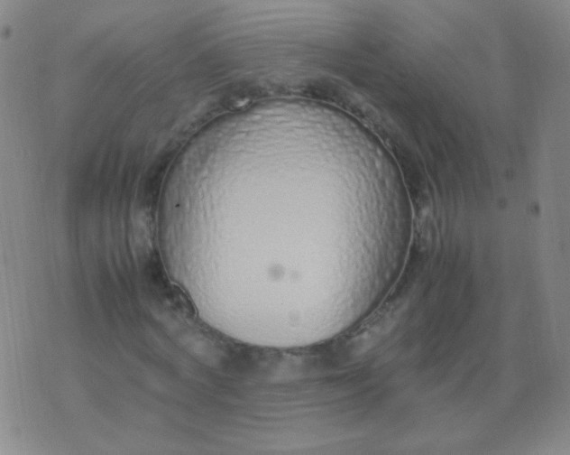 X0000070430772200606231917