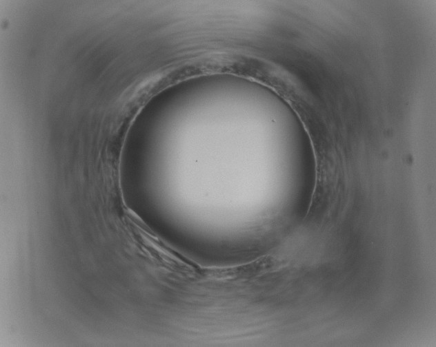 X0000070430773200606231917